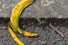 empty_banana